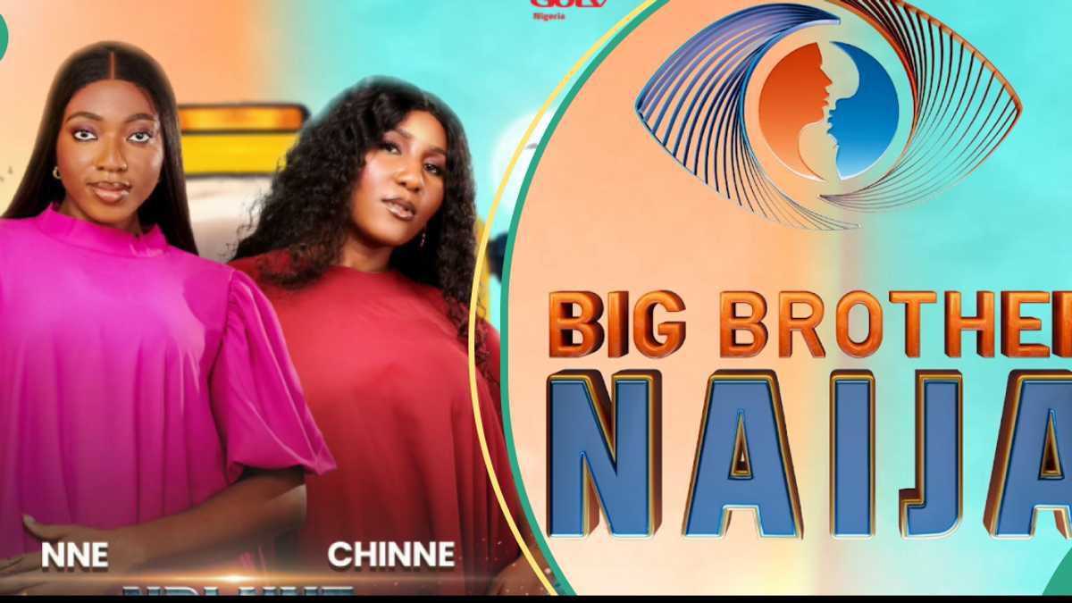 BBNaija Season 9: Niece and Aunty Pair Ndinne Cause Stir Online As They Make It to the Show [Video]