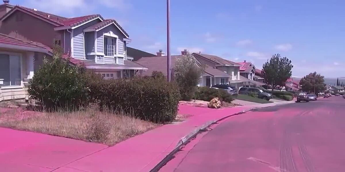 Fire retardant paints neighborhood pink as crews save homes [Video]