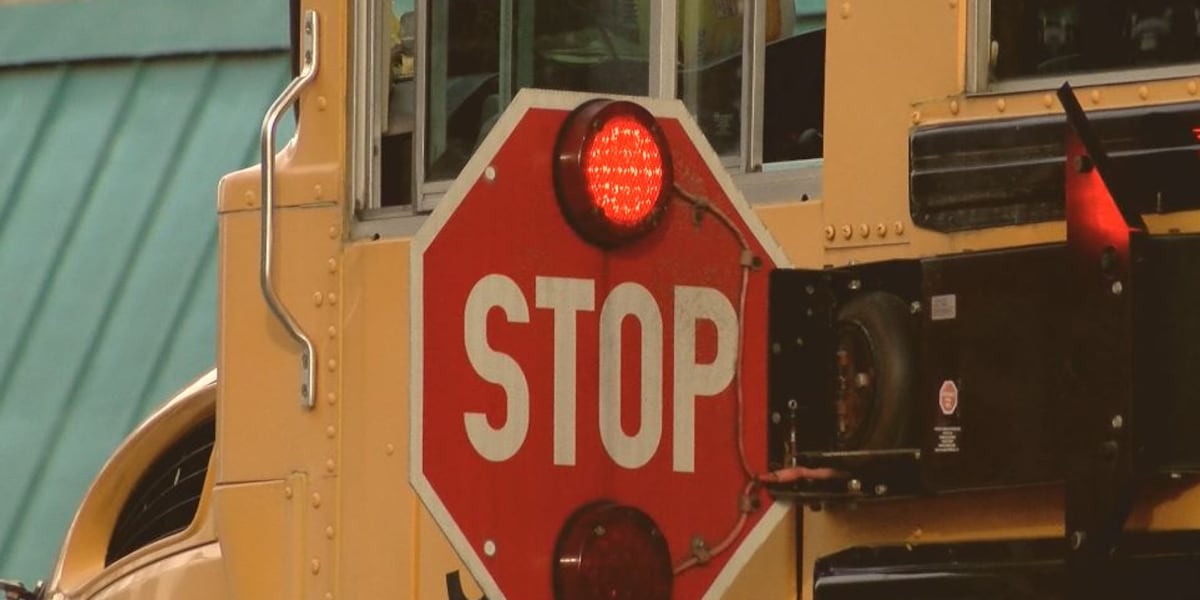 What are the rules of the road for a stopped school bus? [Video]