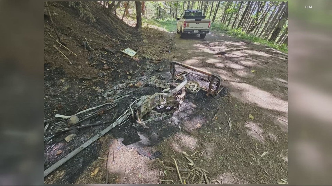 Man arrested for starting small wildfire by burning garbage in Willamette National Forest [Video]