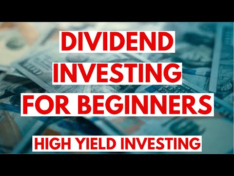 Dividend Investing for Beginners: Your First $1,000 in High Yield Stocks [Video]