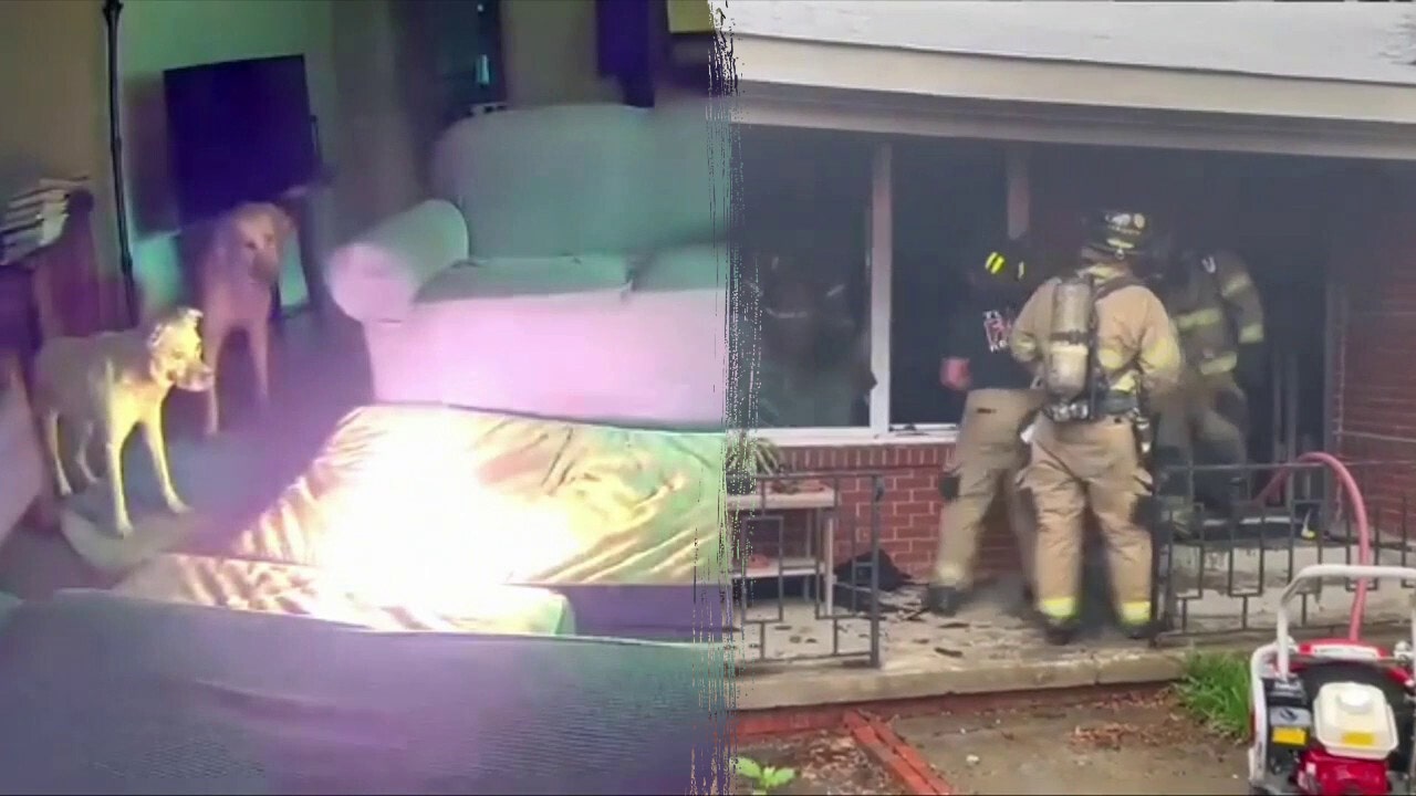 Oklahoma dog starts house fire after chewing on lithium-ion battery [Video]