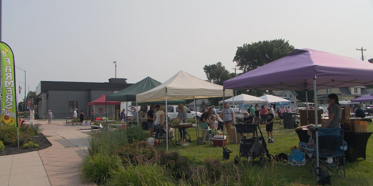 Cairo women bring small businesses, towns together for farmers market [Video]