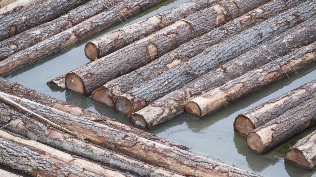 Audit of BC Timber Sales program finds issues with road, bridge maintenance [Video]