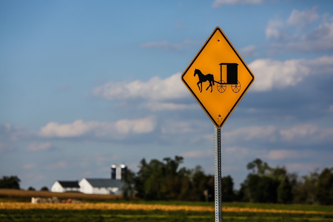 Putrid cesspool of evil rampant corruption: Irate Amish man removed from court [Video]