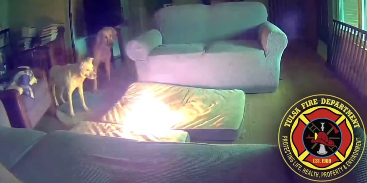 Dog starts house fire by chewing on portable battery, fire officials say [Video]