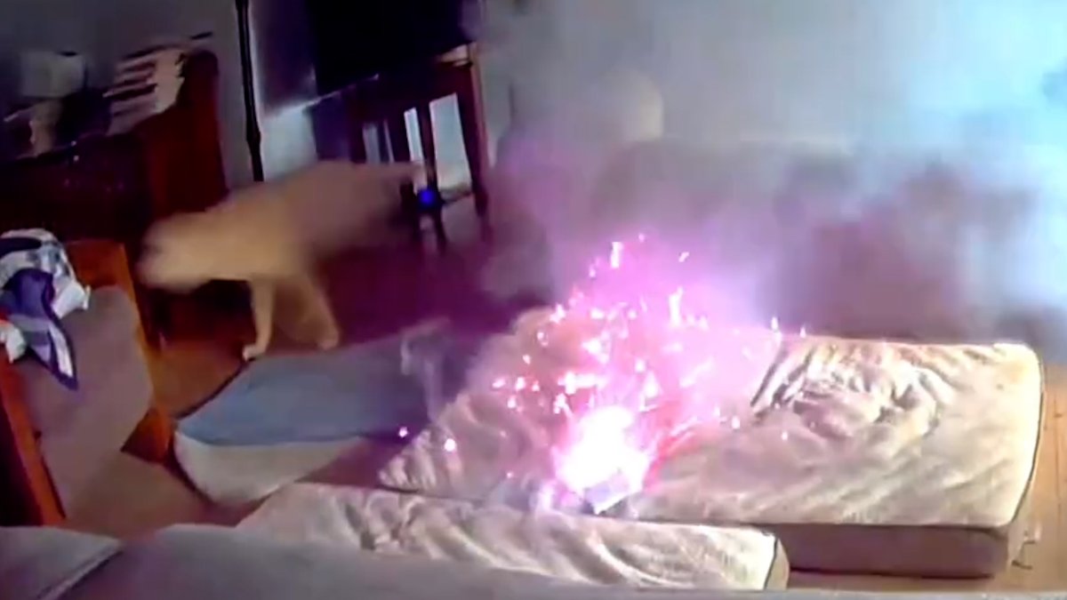 Dog starts house fire after chewing a battery in Oklahoma  NBC Bay Area [Video]