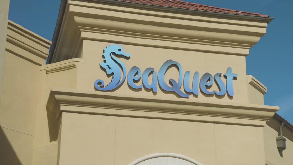 SeaQuest CEO Vince Covino steps down [Video]