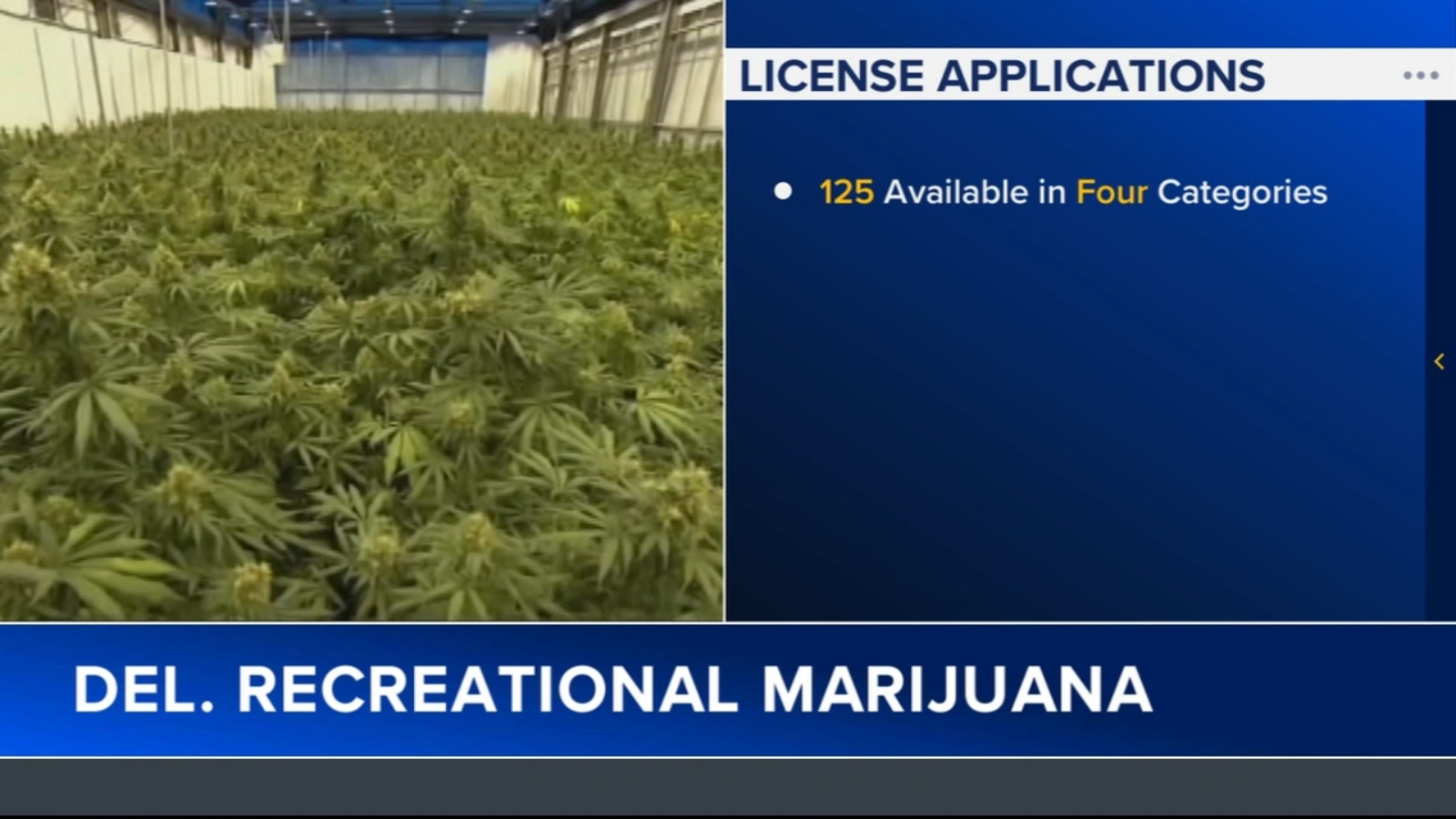 License applications open soon for marijuana business operations in Delaware [Video]