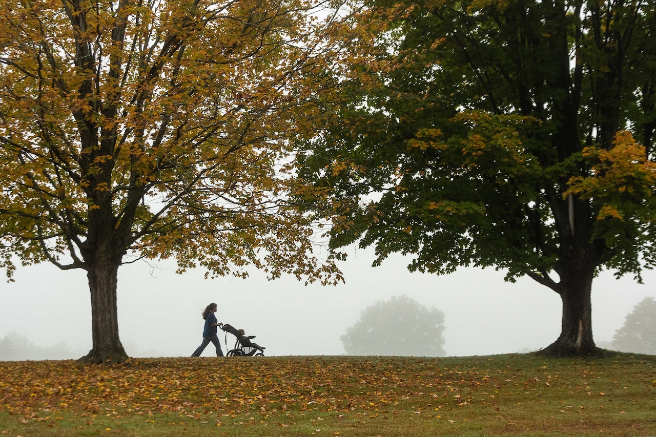 Stanley Park celebrates 75 years with fun-filled day [Video]