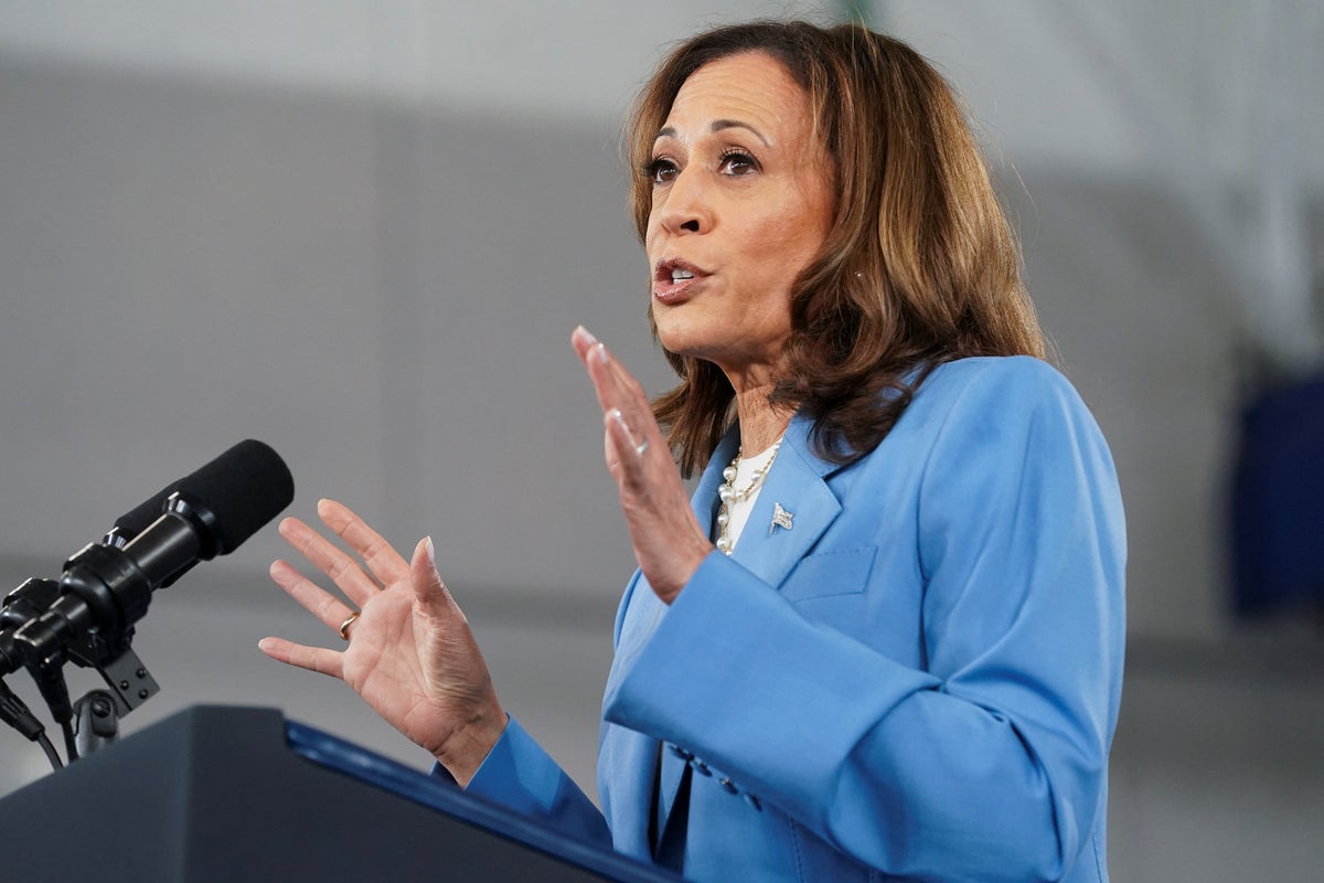 Kamala Harris promises to lower costs as she slams Trump for having no serious plans to help middle class [Video]