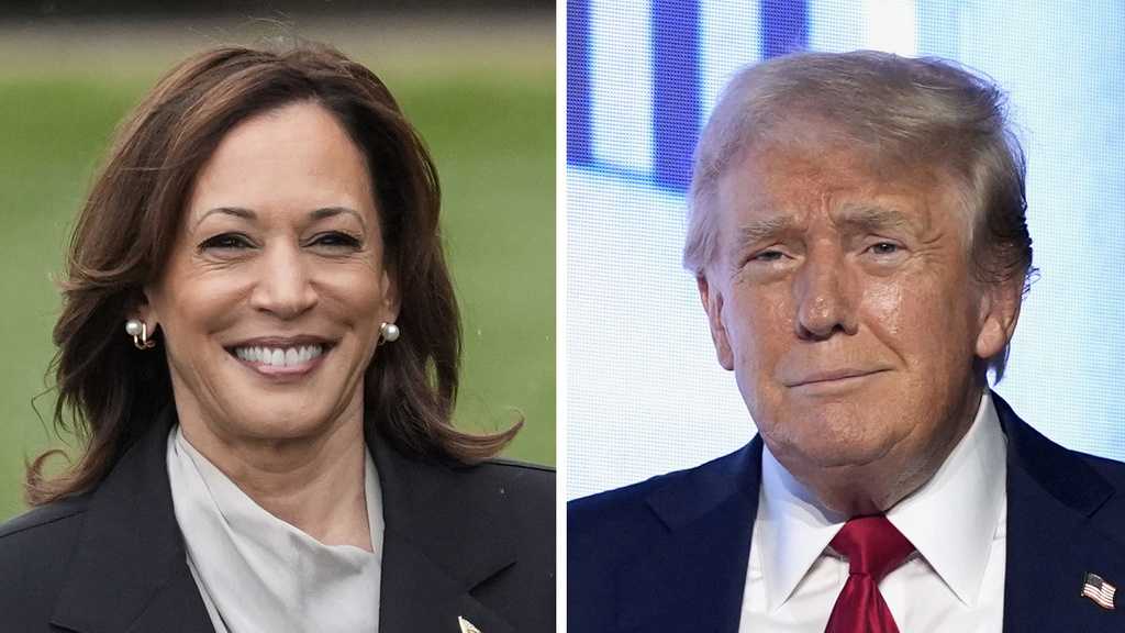 VP Kamala Harris announces economic plans in first policy speech [Video]