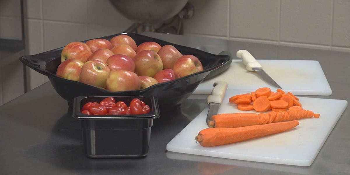 General Beadle Elementary kitchen staffed for upcoming school year [Video]