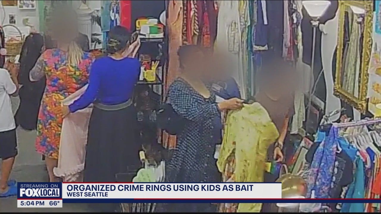 Small businesses in West Seattle targeted by shoplifting scheme using children [Video]