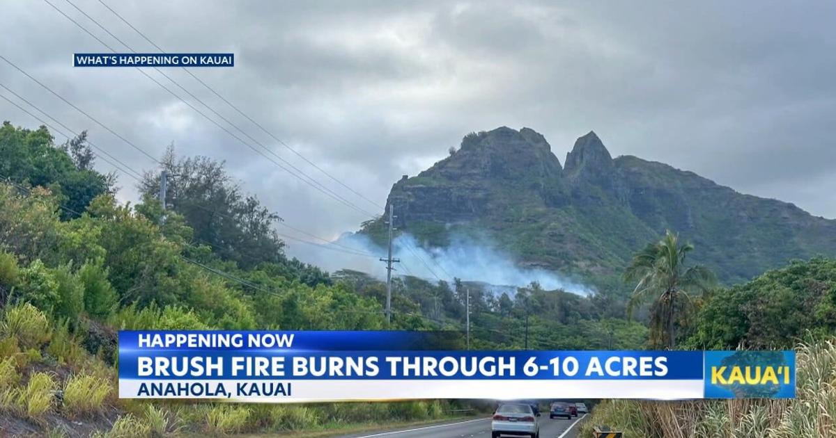 Kauai firefighters cleared a brushfire in Anahola | Local [Video]