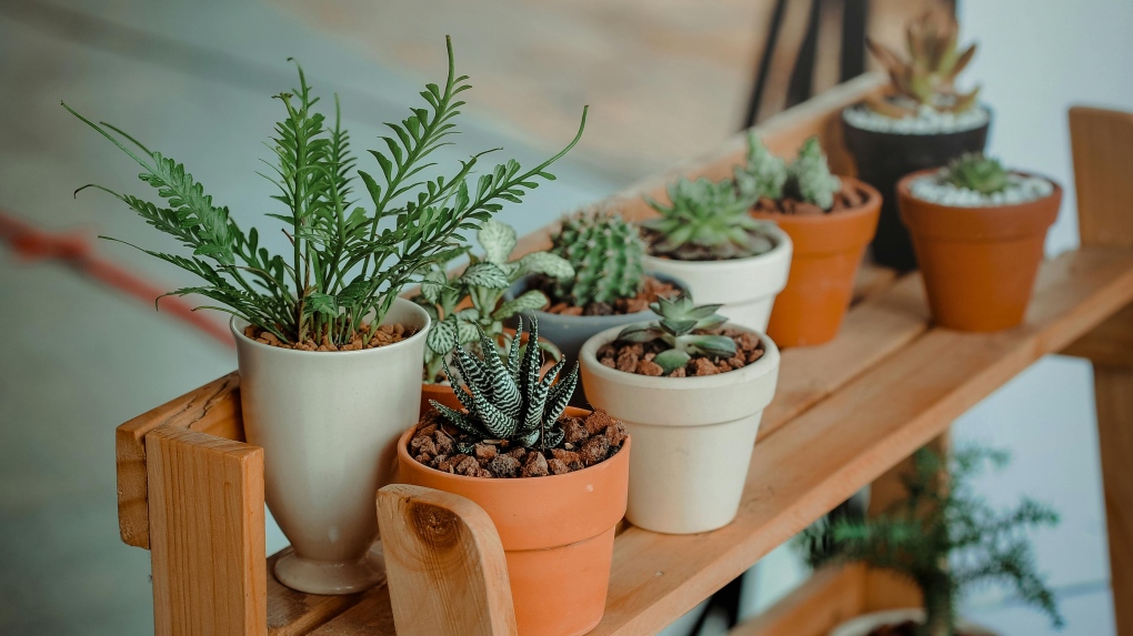 Budget-friendly home decor tips | CTV News [Video]