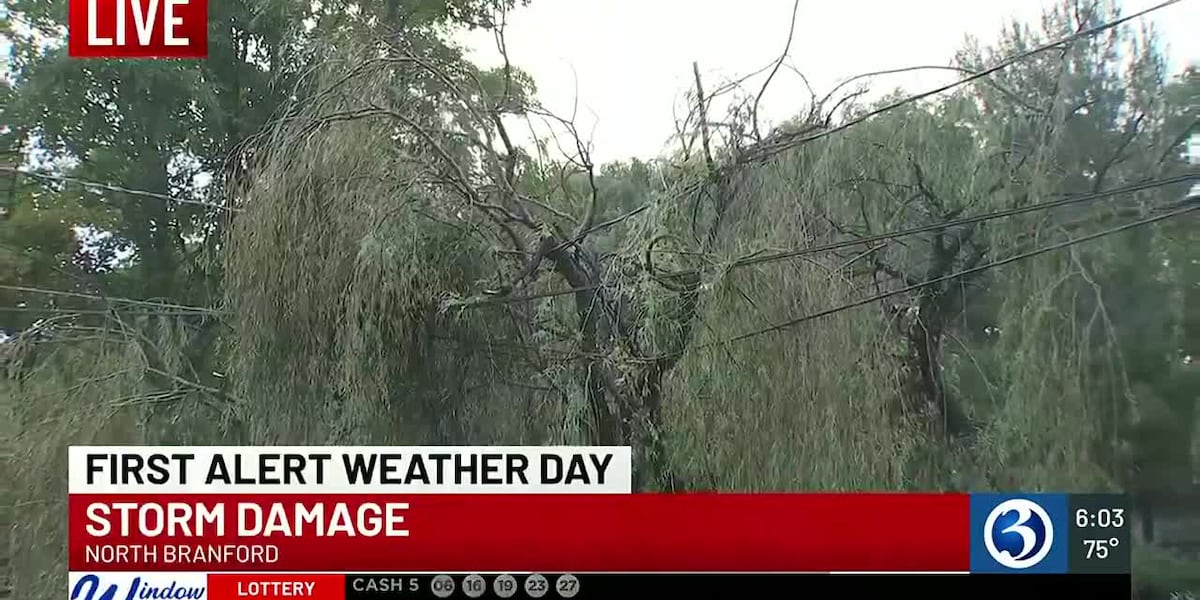 Storm brings ping pong ball sized hail to parts of CT [Video]