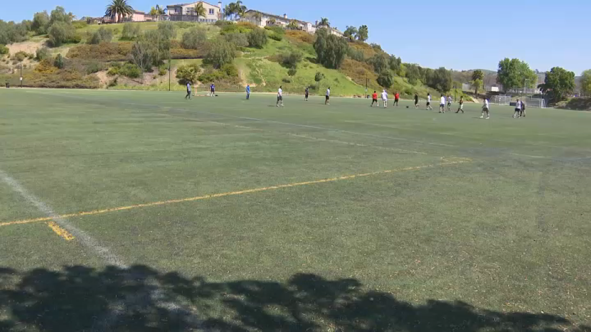 Santa Clara County supervisors to vote on possible turf ban  NBC Bay Area [Video]