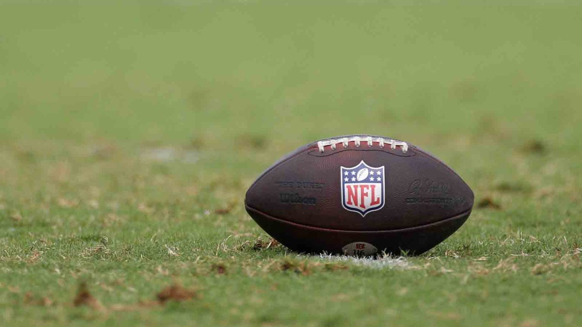 NFL owners endorse private equity stakes of up to 10% in teams  NBC 5 Dallas-Fort Worth [Video]