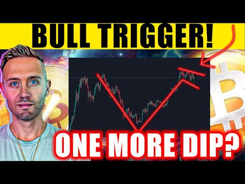 The BITCOIN Catalyst That Could Trigger CRYPTO’S Biggest Bull Run Yet! [Video]