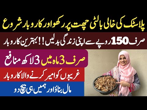 Absolutely Profitable Business Idea In Pakistan || Small Business  – Saffron Farming Business [Video]