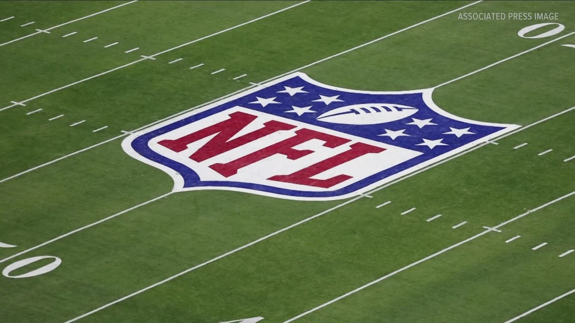 The NFL owners voted to allow private equity firms to own minority stakes in teams [Video]