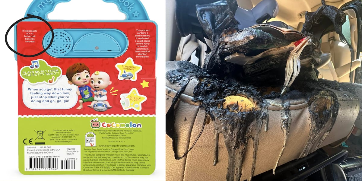 Batteries in childrens book that caused Burke County minivan fire arent lithium, publisher says [Video]