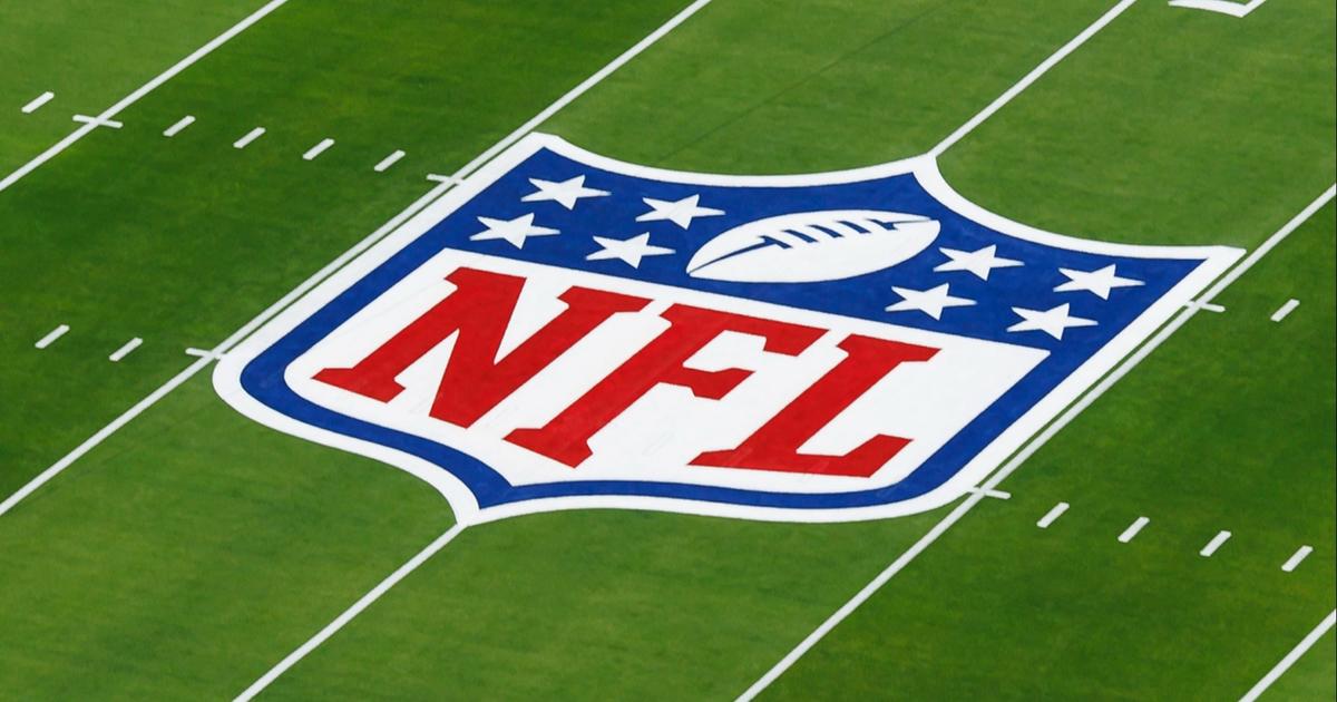 NFL owners approve private equity investments in teams [Video]