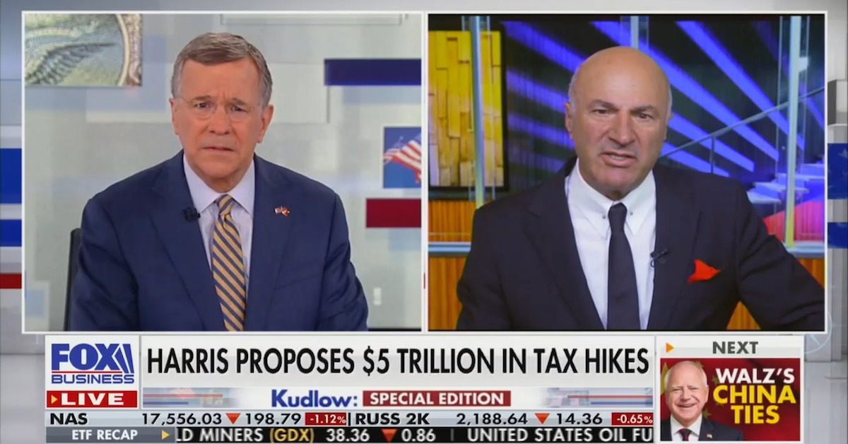 Kevin O’Leary Fumes Over Harris’s ‘Un-American’ Tax Plan [Video]