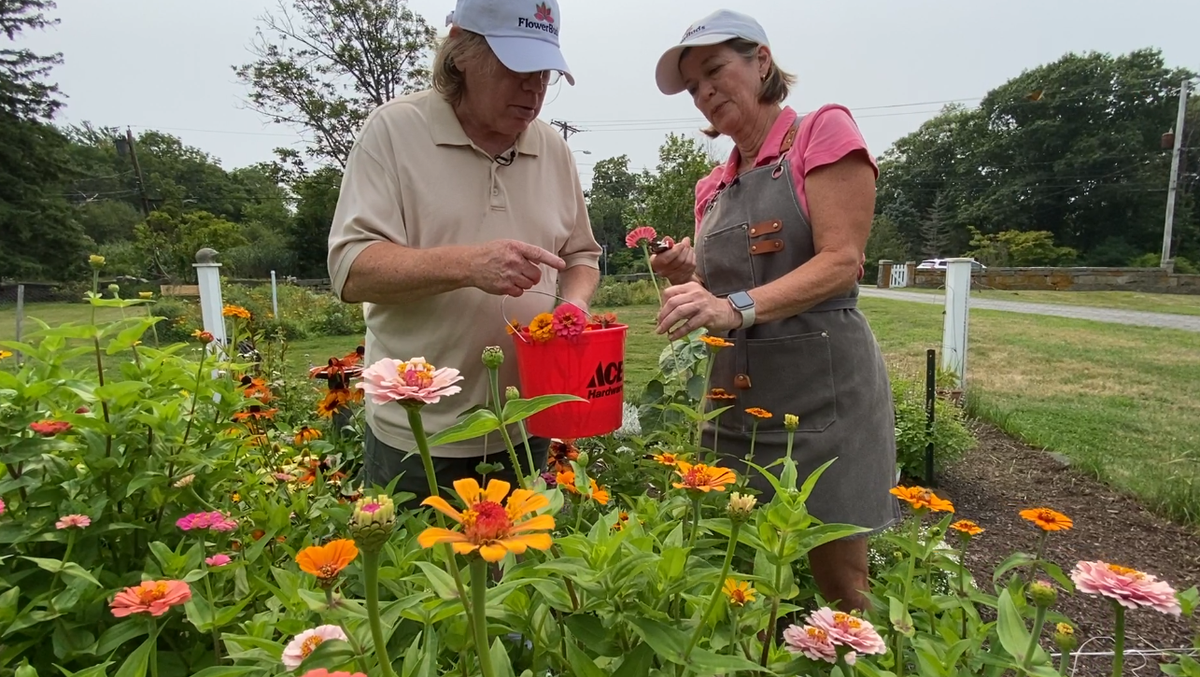 Flower Bud program brightens community, helps people recovering from injury [Video]