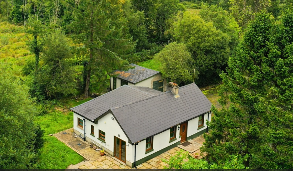 WATCH: Woodland cottage for sale by Online Auction in Ballinamore [Video]