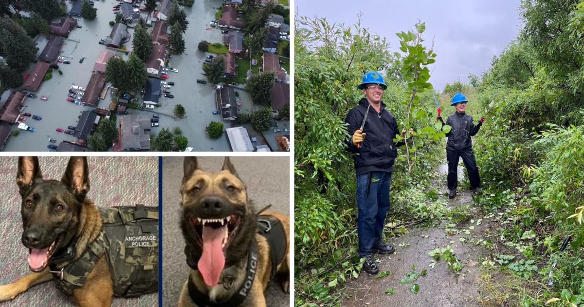 AROUND ALASKA: Flood Assessment, K-9 Tribute and Trail Volunteers | Around Alaska [Video]