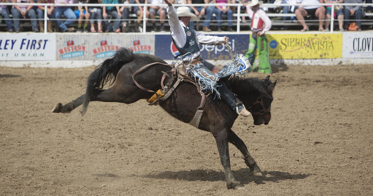 After deaths of as many as 70 horses, owner of Oklahoma rodeo company suspects feed was tainted [Video]