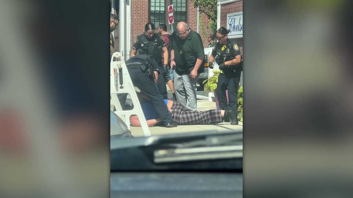 Portion of Mass. police officers ear bitten off while responding to domestic disturbance [Video]