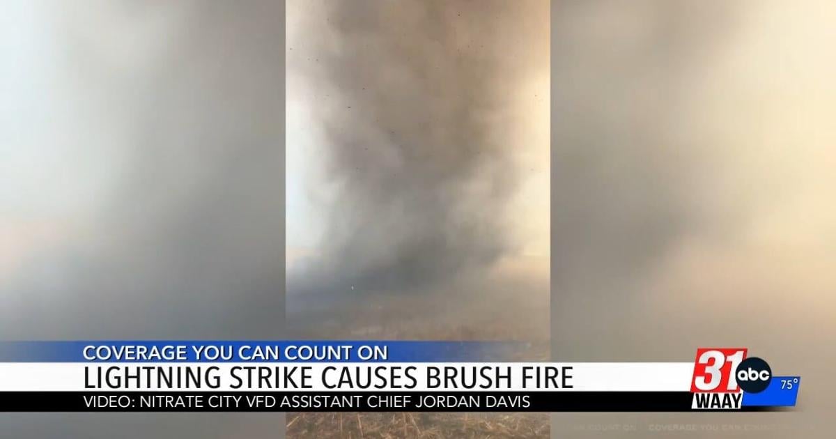 Lightning Starts Brush Fire in Colbert County | Video