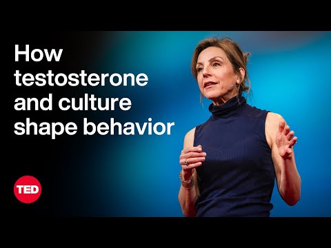 How Testosterone and Culture Shape Behavior | Carole K. Hooven | TED [Video]