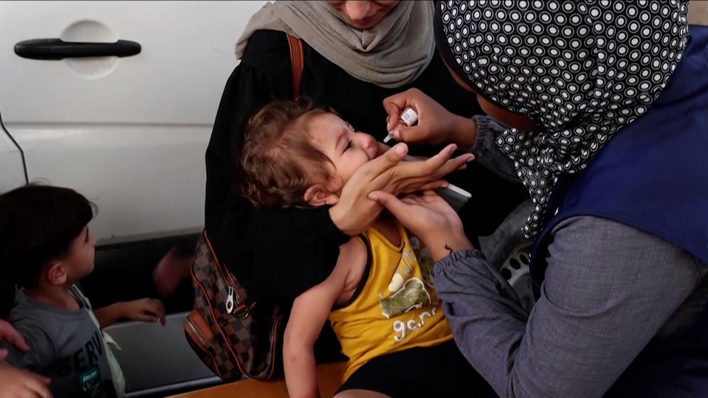 Video Polio vaccination campaign starts in Gaza [Video]