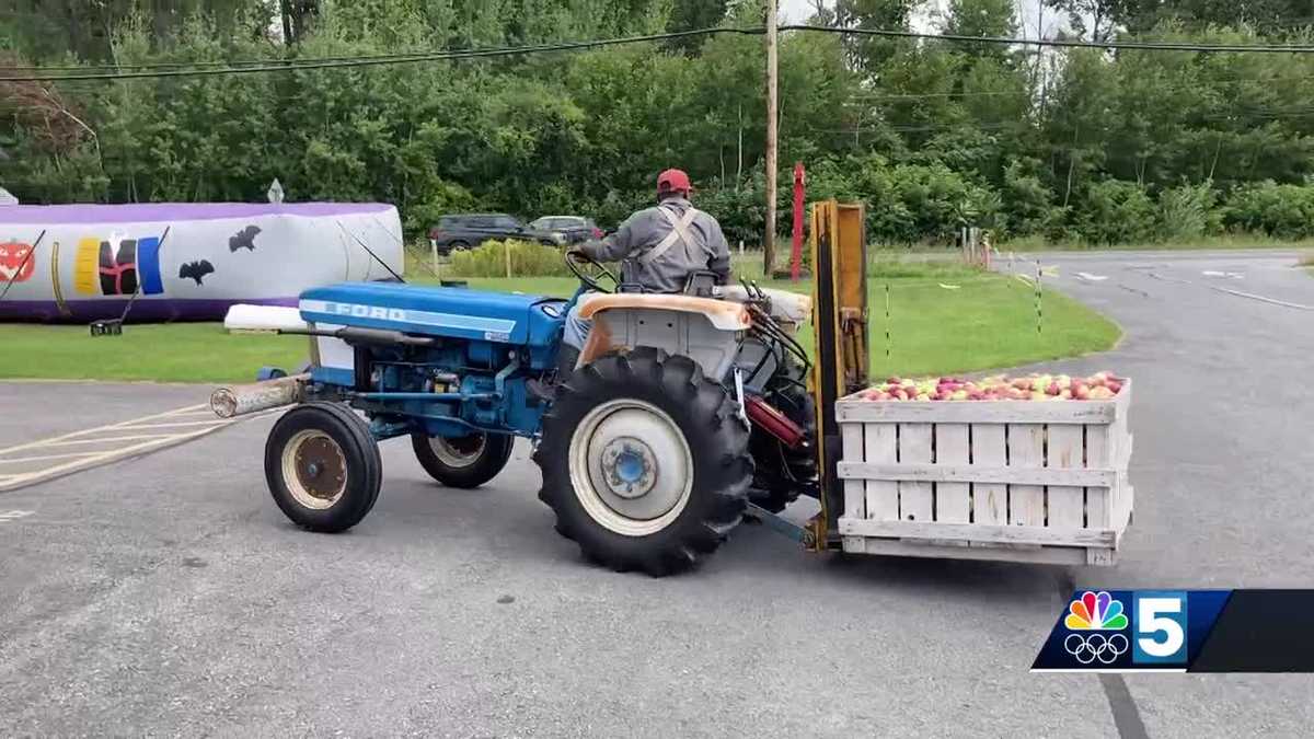 Apple-picking season begins at Banker Orchards in Plattsburgh [Video]