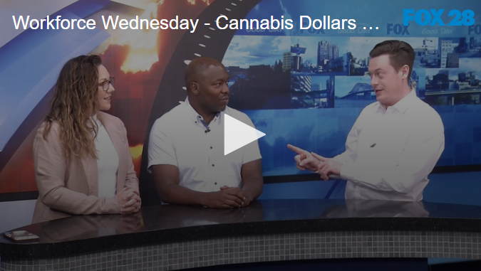 Workforce Wednesday  Cannabis Dollars Put Towards Communities [Video]