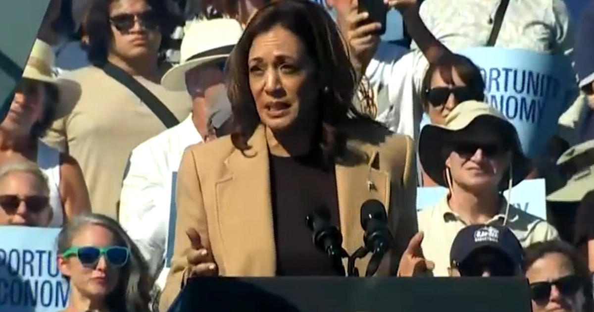 Harris proposes tax incentives for small businesses [Video]