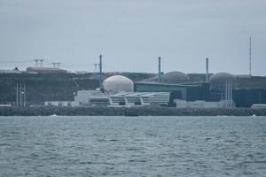 New French nuclear reactor enters automatic shutdown [Video]