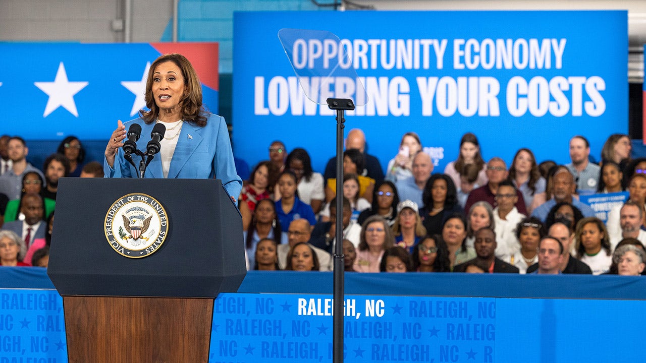 Economists pour cold water on Harris’ new tax proposal for small businesses [Video]