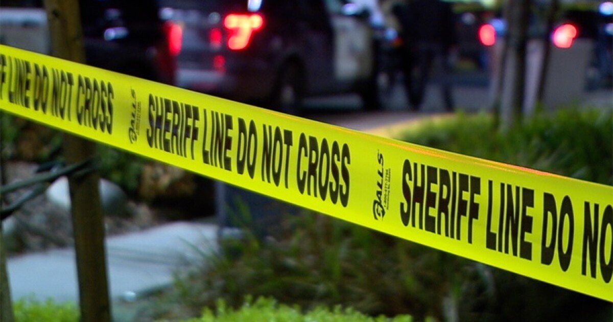 21-year-old fatally shot in Lemon Grove [Video]