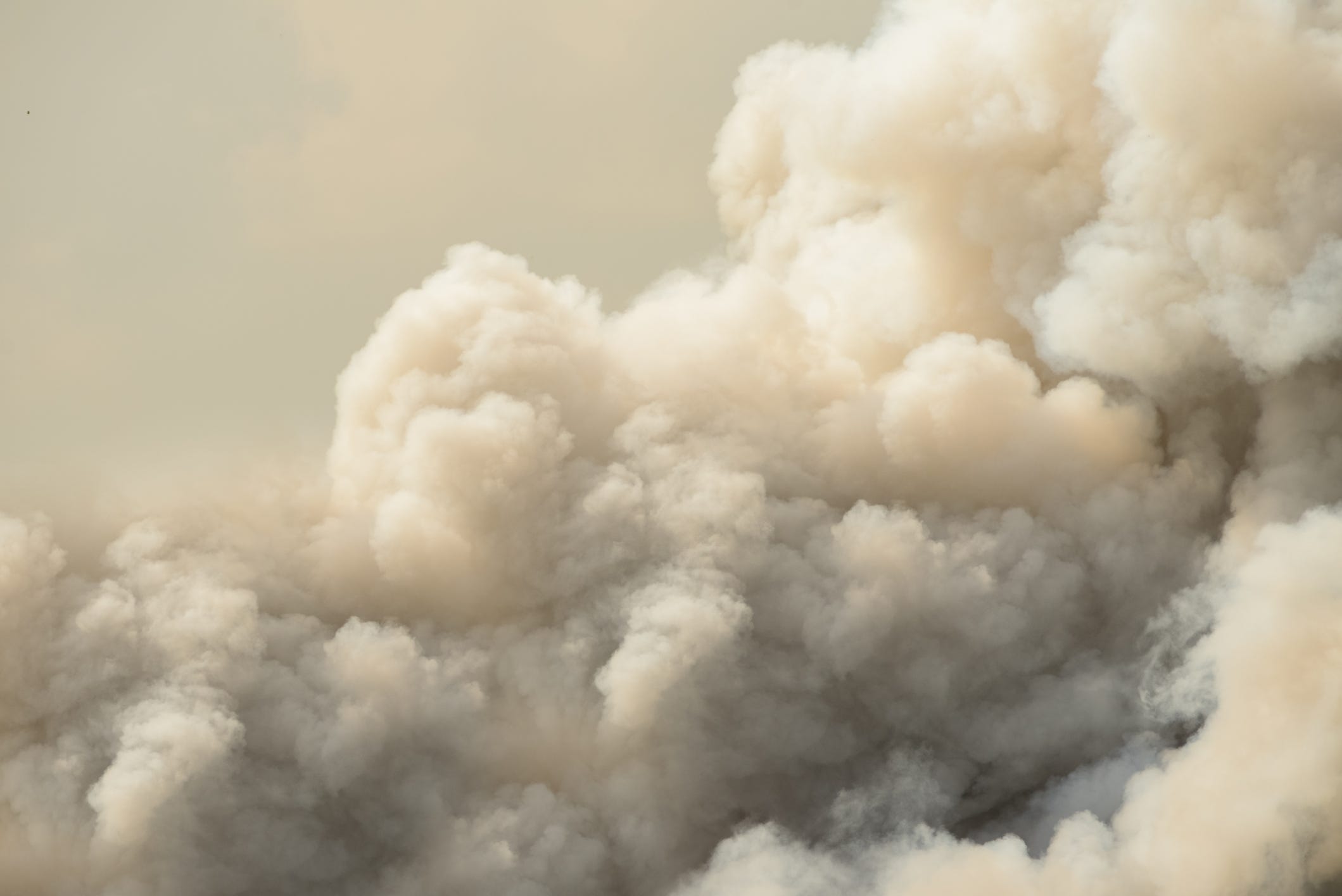 Airport Fire grows to over 19,000 acres [Video]