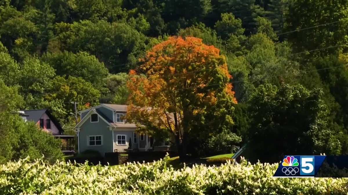 Vermont businesses prepare for busy fall foliage season [Video]