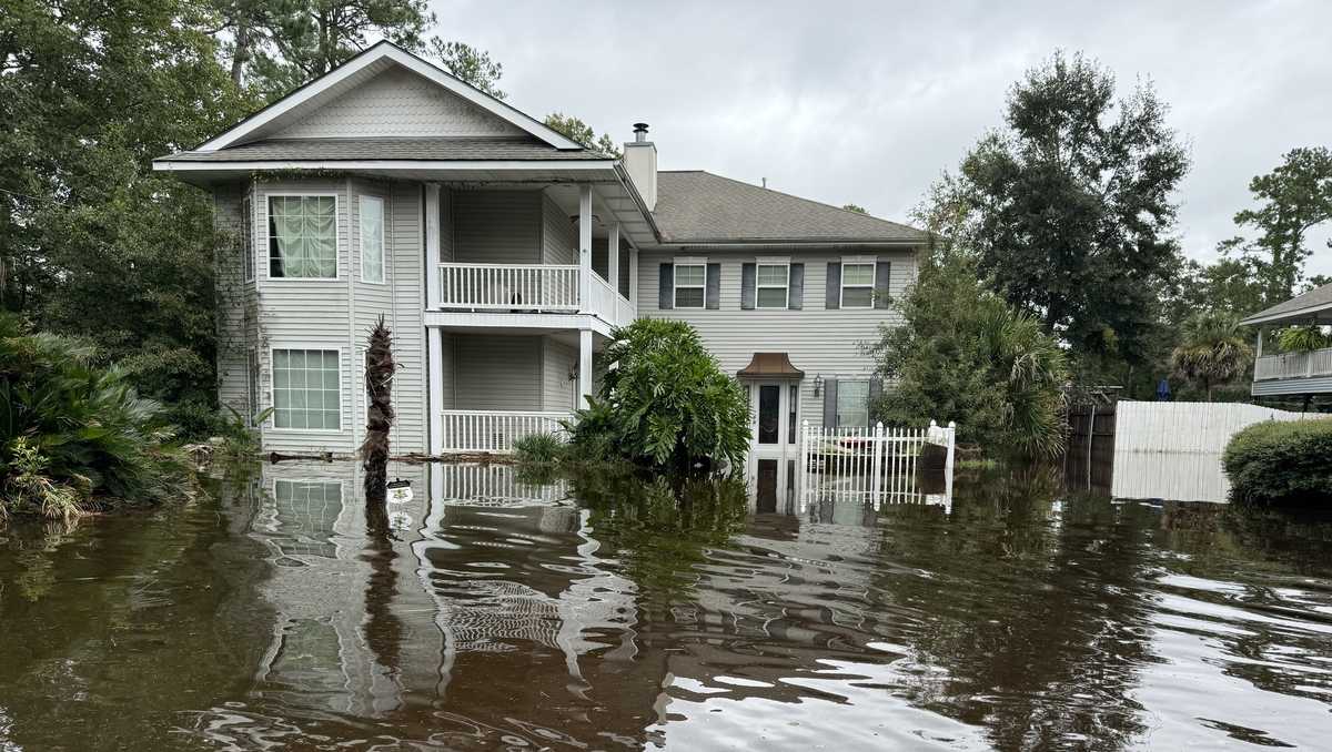 Hurricane Francine recovery efforts by parish [Video]