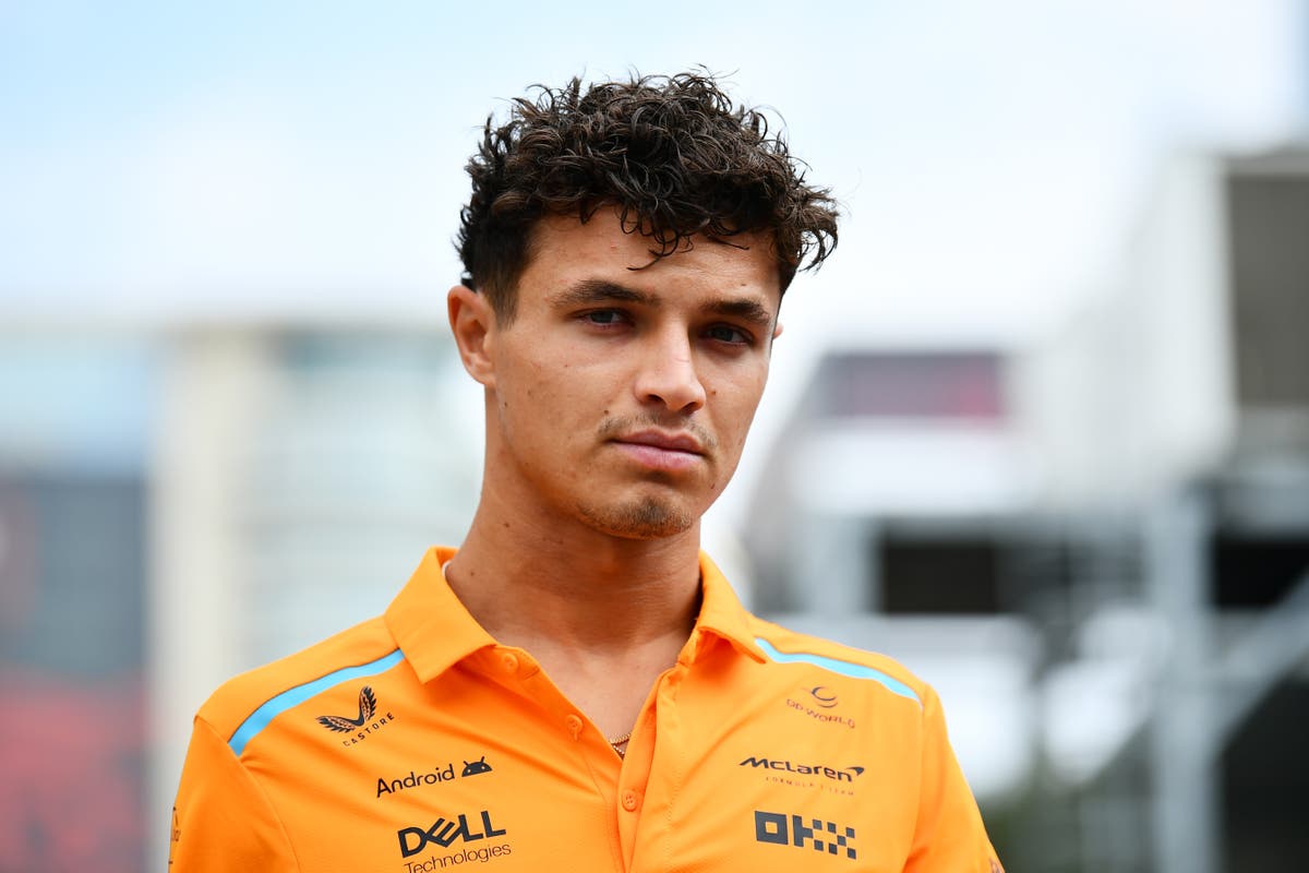 The anatomy of Lando Norris on F1 pole position  and the seven times its gone wrong [Video]