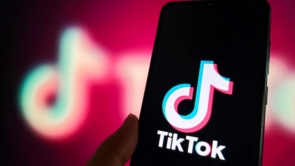 TikTok heads to federal court over potential US ban  NBC Connecticut [Video]