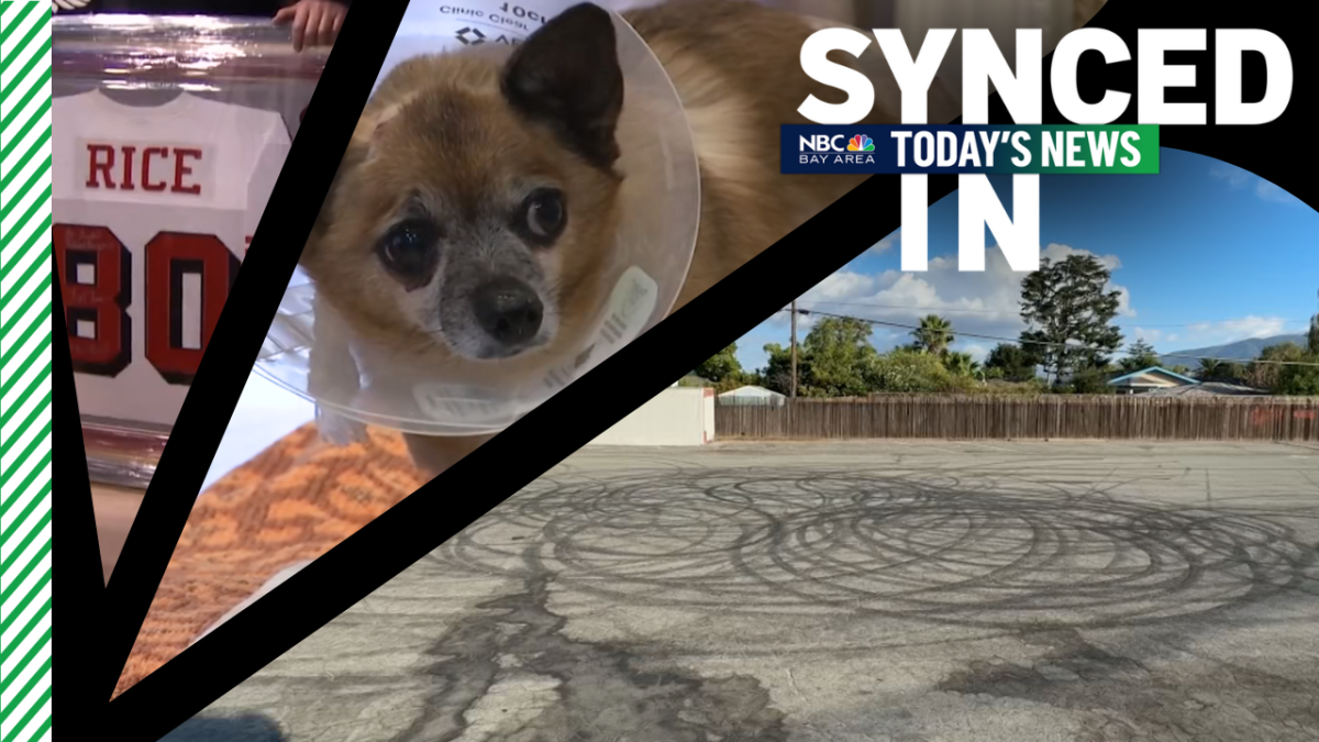 Deadly driving incident, coyote attacks Chihuahua, legend helps local business  NBC Bay Area [Video]