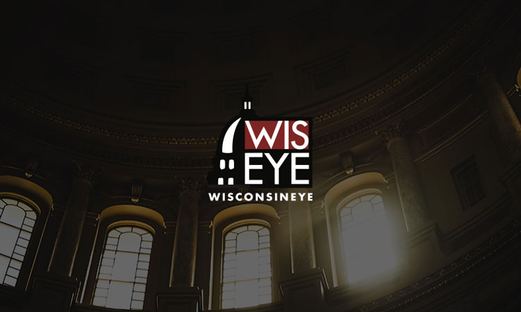 Wisconsin Health News: Private Equity and For-Profit Healthcare [Video]